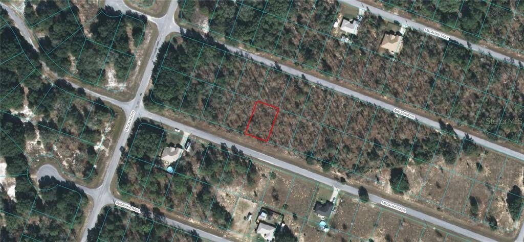 00 MALAUKA RADL, Ocklawaha, FL 32179
