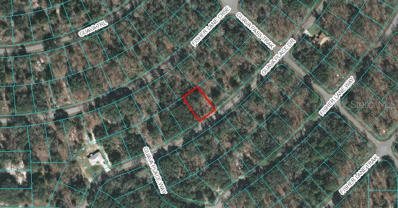 00 GUAVA PLACE DR, Ocklawaha, FL 32179
