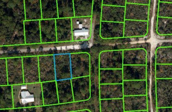 239 ELEANOR BLVD, Lake Placid, FL 33852