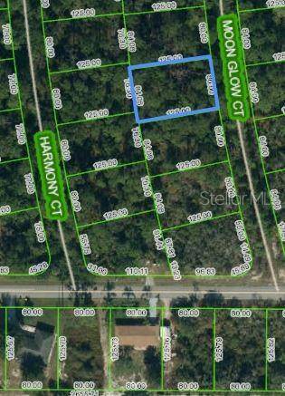 216 MOON GLOW CT, Lake Placid, FL 33852