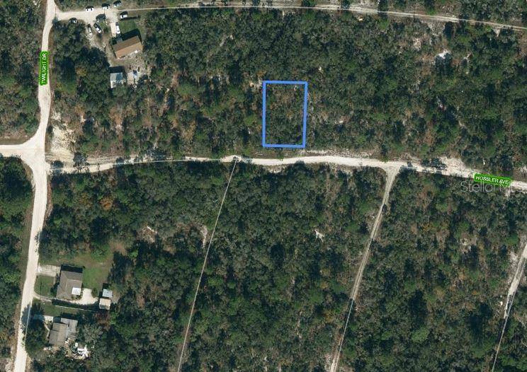 320 HOSSLER AVE, Lake Placid, FL 33852