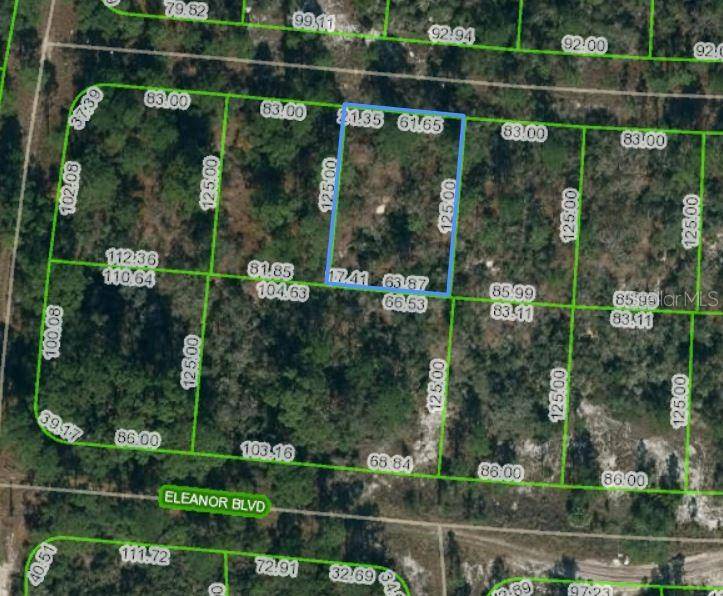 353 PARADISE AVE, Lake Placid, FL 33852