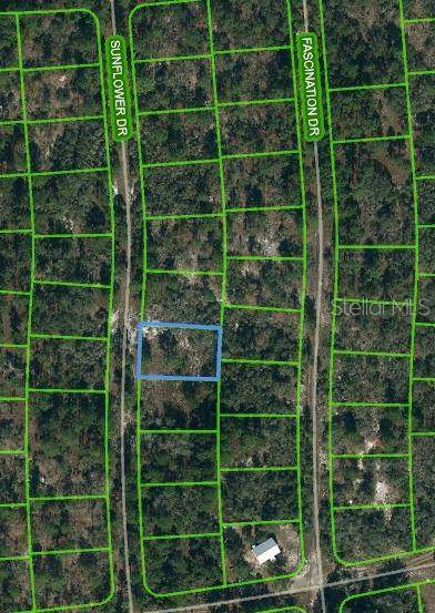 253 SUNFLOWER AVE, Lake Placid, FL 33852