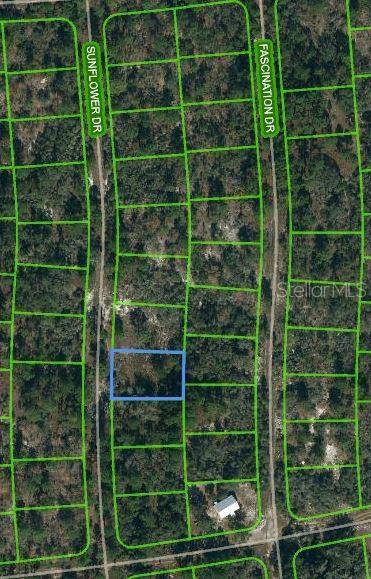 249 SUNFLOWER AVE, Lake Placid, FL 33852