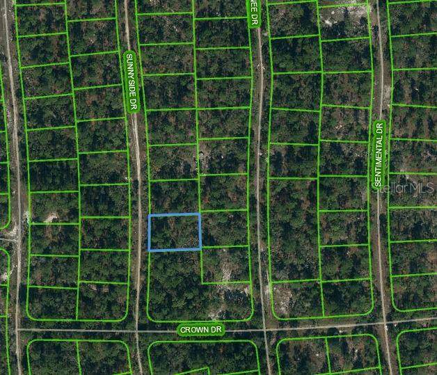 245 SUNNYSIDE DR, Lake Placid, FL 33852