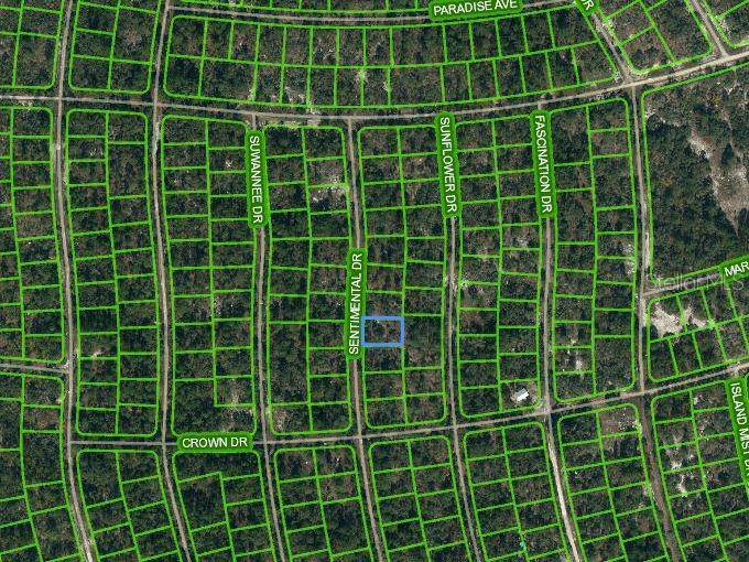 249 SENTIMENTAL DR, Lake Placid, FL 33852