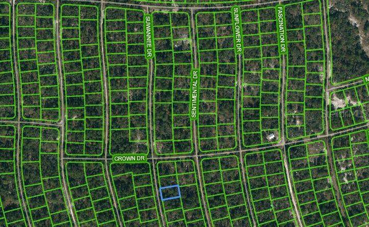 215 SUWANNEE DR, Lake Placid, FL 33852
