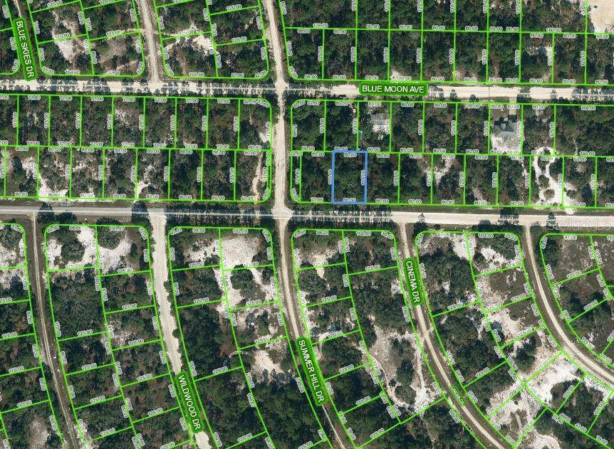 384 JACK WEISSER BLVD, Lake Placid, FL 33852
