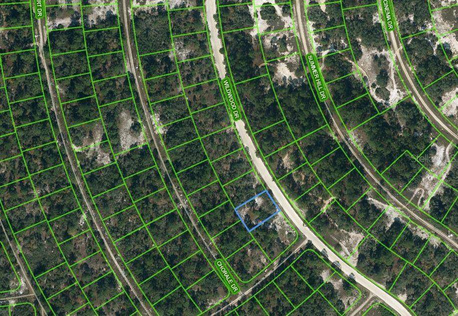 354 WILDWOOD DR, Lake Placid, FL 33852