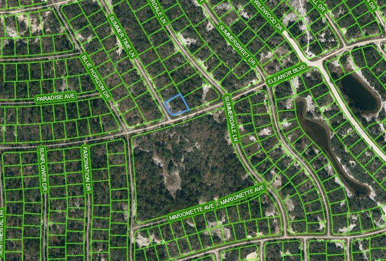 384 ELEANOR BLVD, Lake Placid, FL 33852