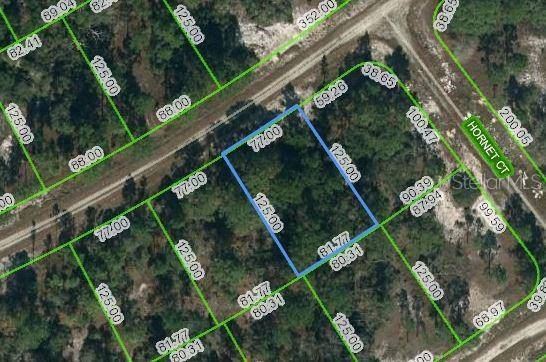 389 SHOWBOAT AVE, Lake Placid, FL 33852
