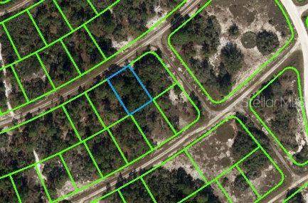 389 SHOWBOAT AVE, Lake Placid, FL 33852