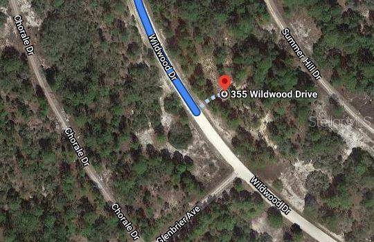 355 WILDWOOD DR, Lake Placid, FL 33852
