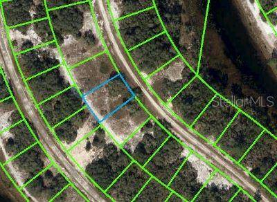 300 DARGEN DR, Lake Placid, FL 33852