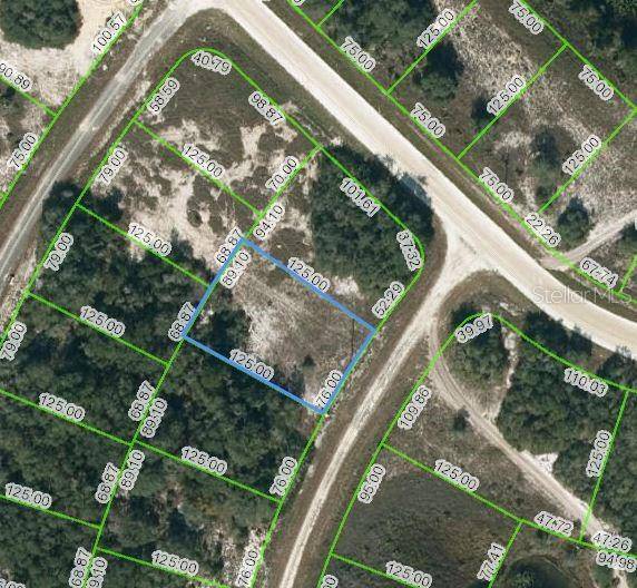 322 DARGEN DR, Lake Placid, FL 33852