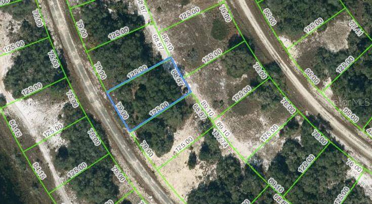 313 RHYTHM DR, Lake Placid, FL 33852