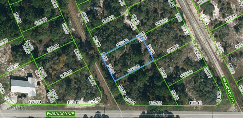 203 BLUE HORIZON DR, Lake Placid, FL 33852