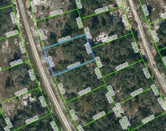 217 BLUE SKY DR, Lake Placid, FL 33852