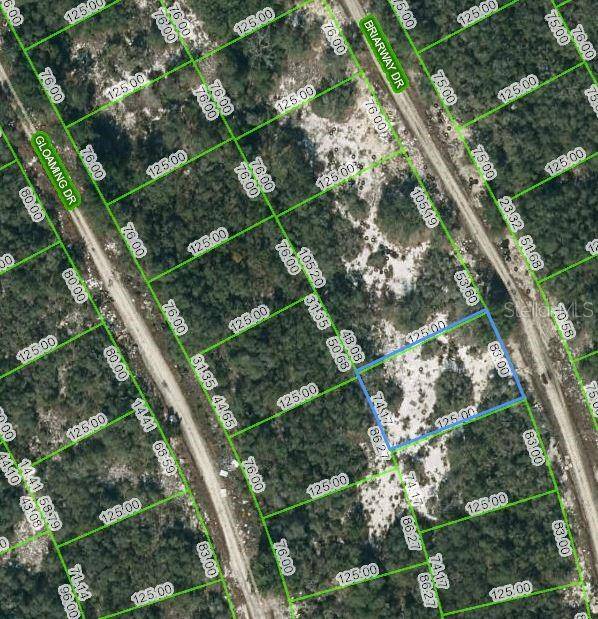 210 BRIARWAY DR, Lake Placid, FL 33852