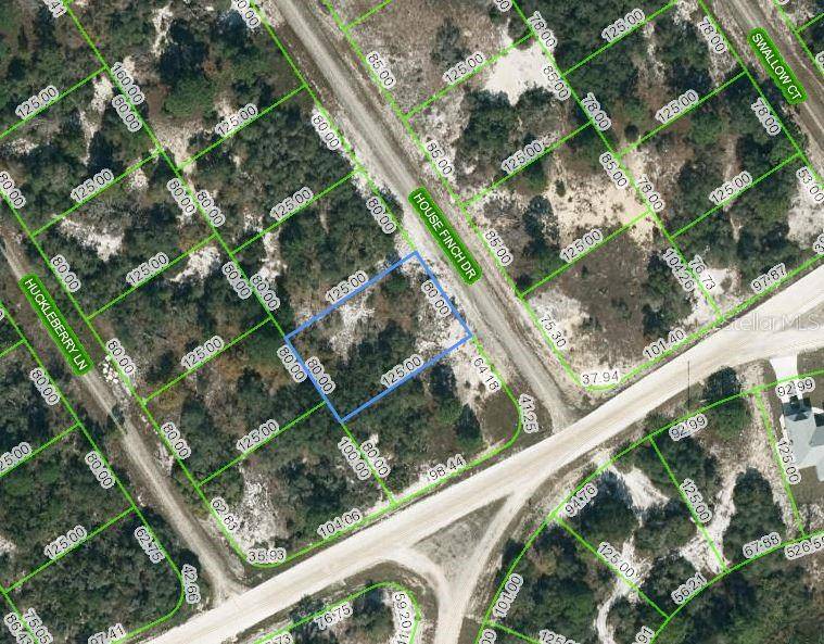 602 HOUSE FINCH DR, Lake Placid, FL 33852