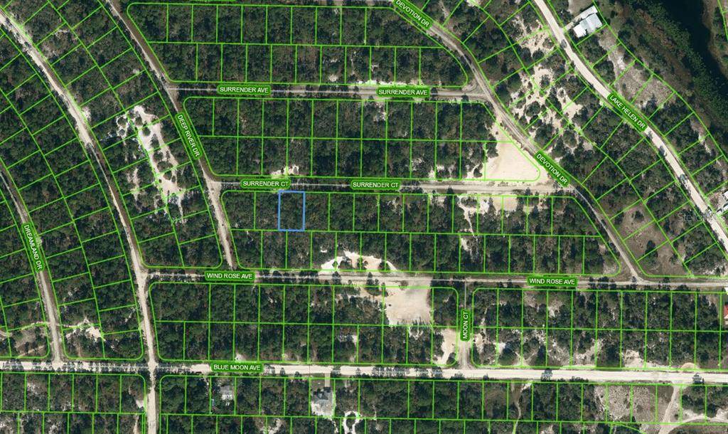 415 SURRENDER CT, Lake Placid, FL 33852