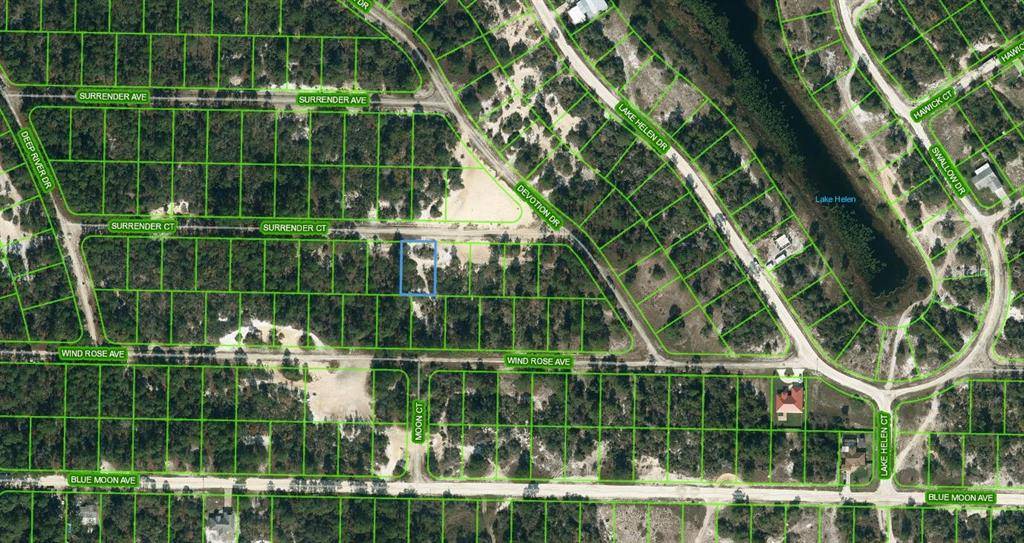 429 SURRENDER CT, Lake Placid, FL 33852