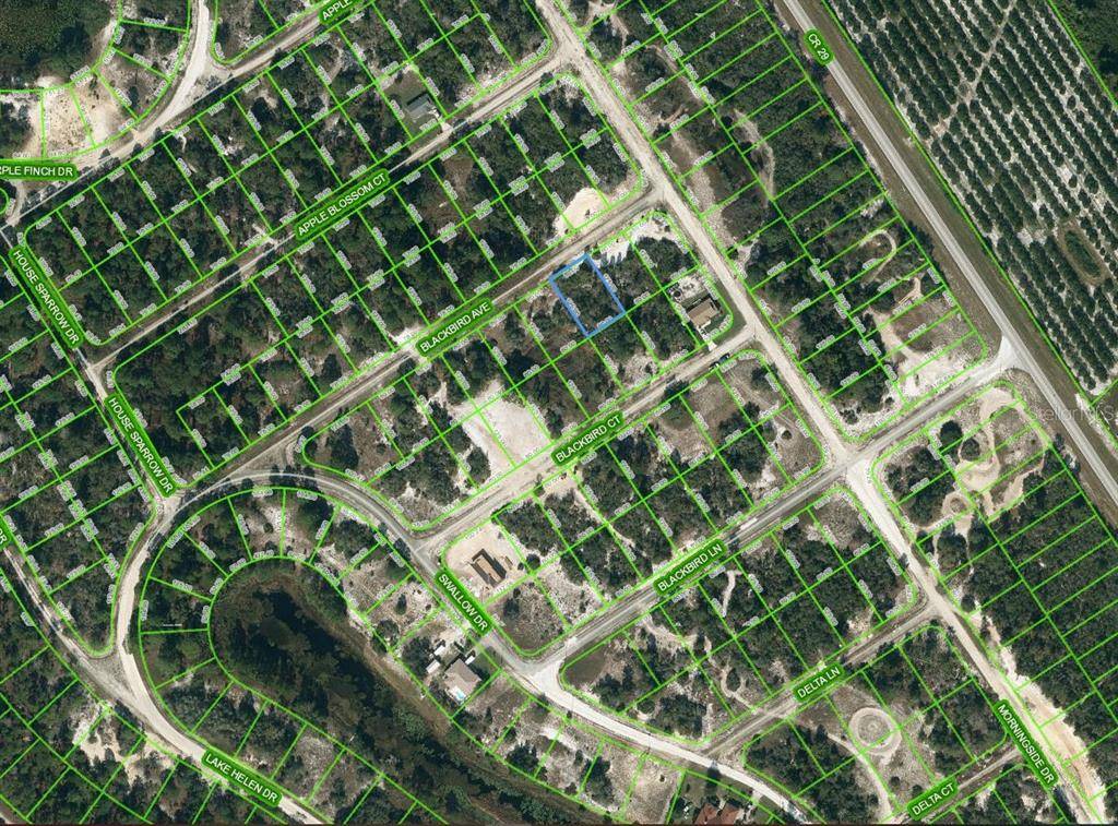 455 BLACKBIRD AVE, Lake Placid, FL 33852
