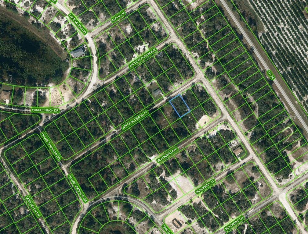 455 APPLE BLOSSOM CT, Lake Placid, FL 33852