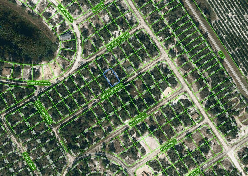 448 APPLE BLOSSOM CT, Lake Placid, FL 33852