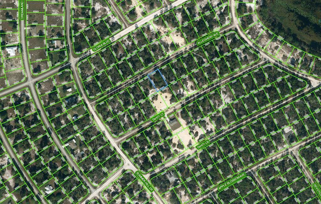 411 ALLEGHENY AVE, Lake Placid, FL 33852