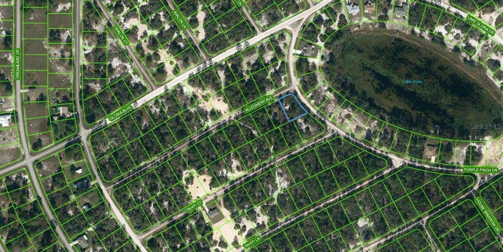425 ALLEGHENY AVE, Lake Placid, FL 33852
