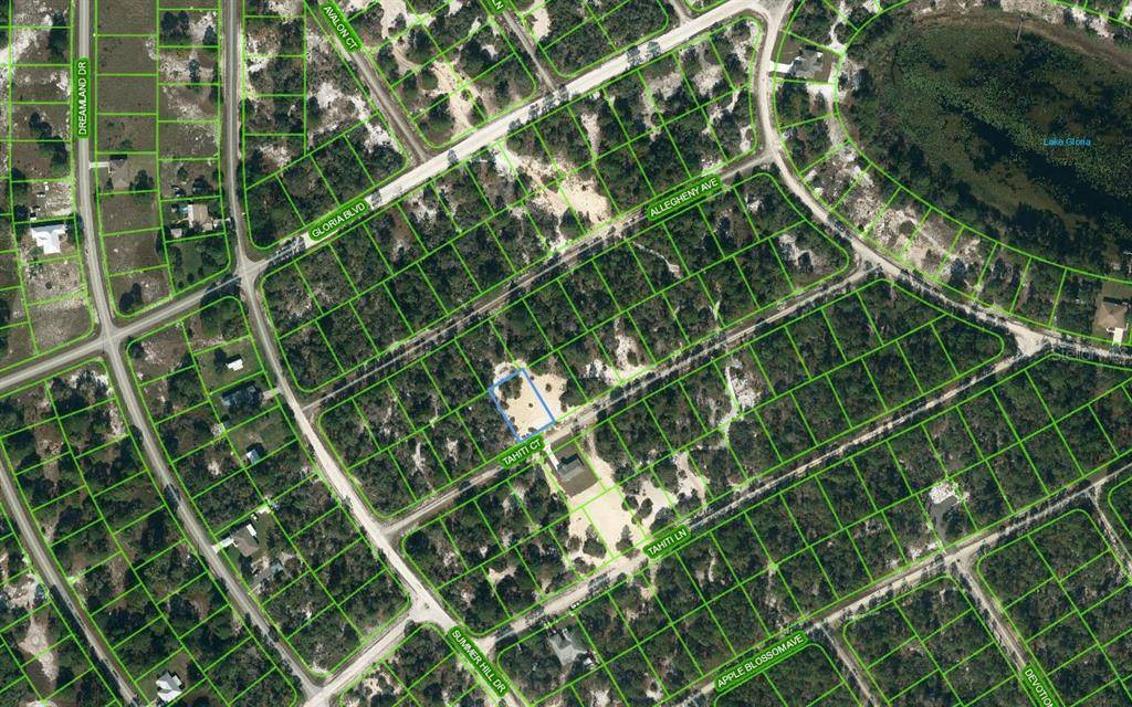 408 TAHITI CT, Lake Placid, FL 33852