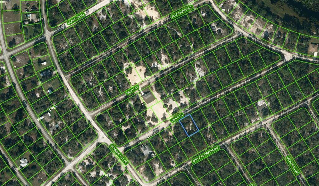 411 TAHITI LN, Lake Placid, FL 33852