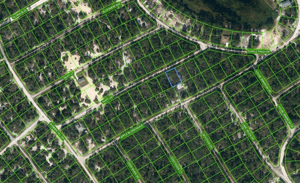 423 TAHITI LN, Lake Placid, FL 33852
