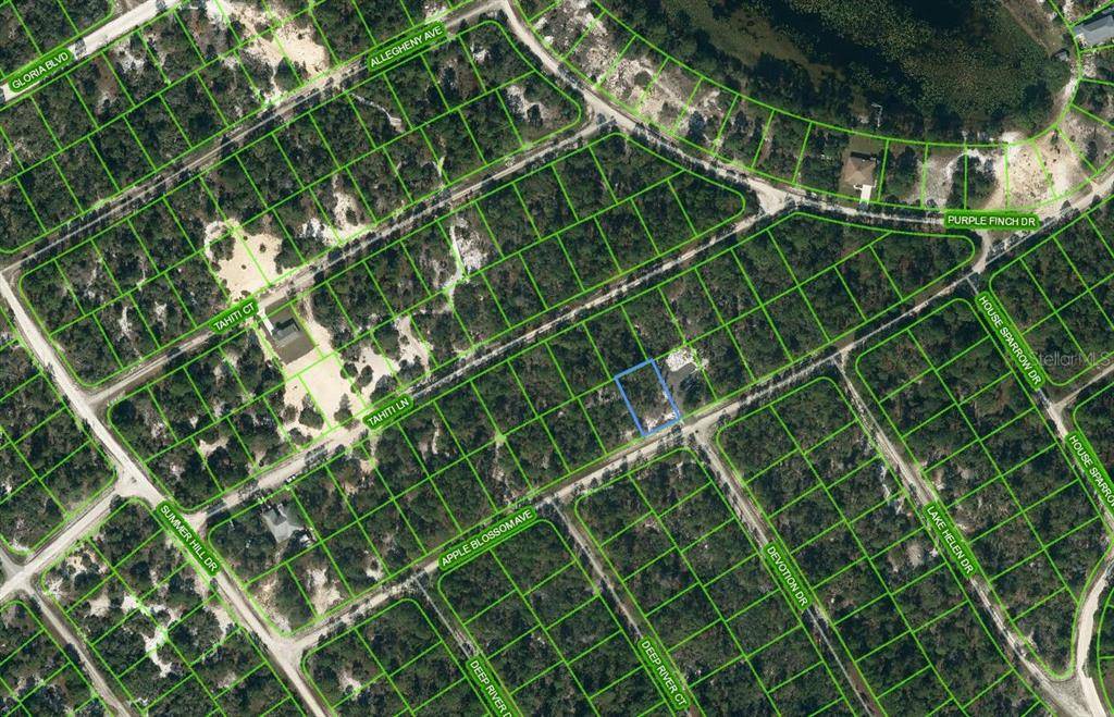 420 APPLE BLOSSOM CT, Lake Placid, FL 33852