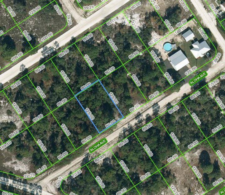 450 ALOHA AVE, Lake Placid, FL 33852