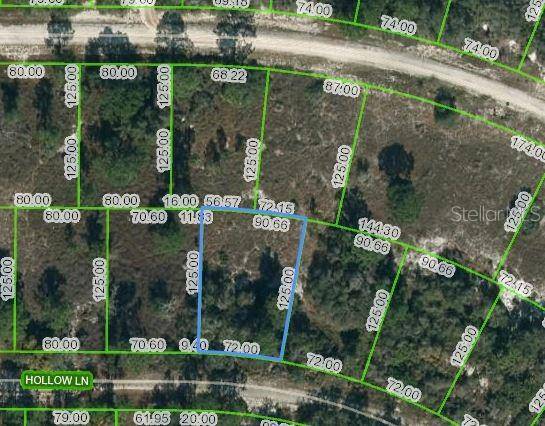 408 HOLLOW LN, Lake Placid, FL 33852