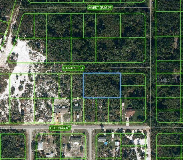 1515 RAINTREE ST, Lake Placid, FL 33852