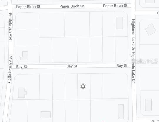 1511 BLACKWILLOW ST, Lake Placid, FL 33852