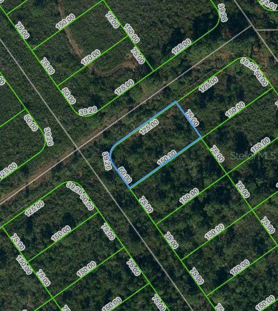 569 KENNEDY ST, Lake Placid, FL 33852