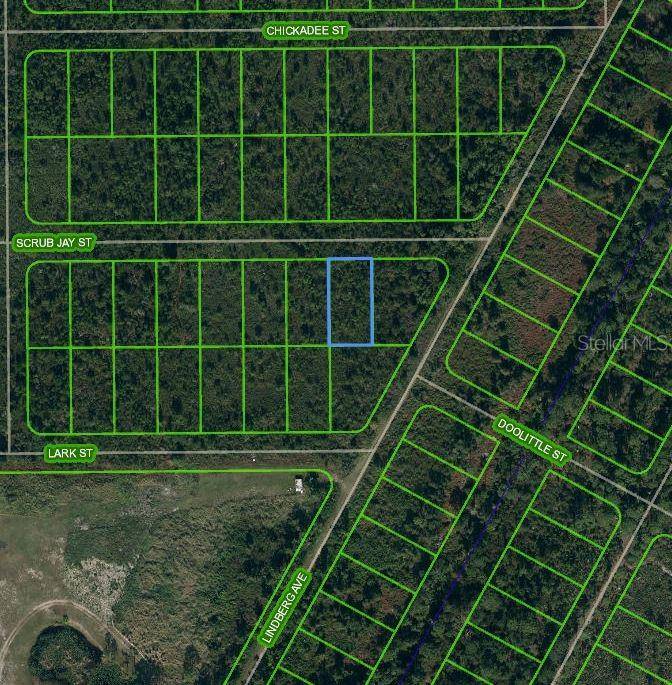 1435 SCRUB JAY ST, Lake Placid, FL 33852