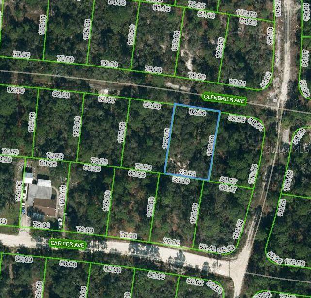 341 GLENBRIER AVE, Lake Placid, FL 33852