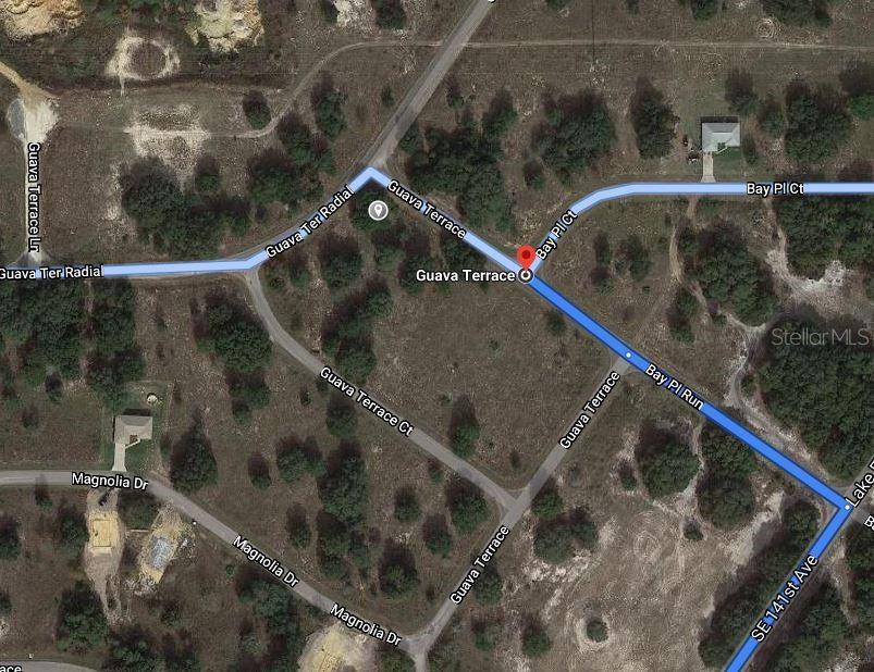 GUAVA TER, Ocklawaha, FL 32179