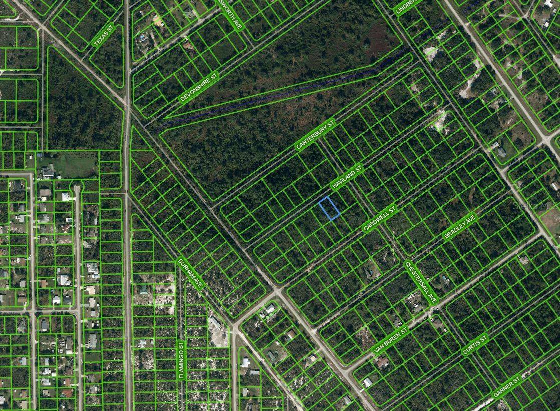 1213 HAVILAND ST, Lake Placid, FL 33852