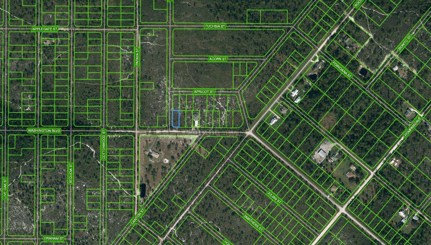 769 WASHINGTON BLVD, Lake Placid, FL 33852
