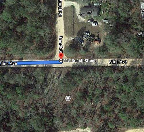 115 BRANCH AVE, Interlachen, FL 32148
