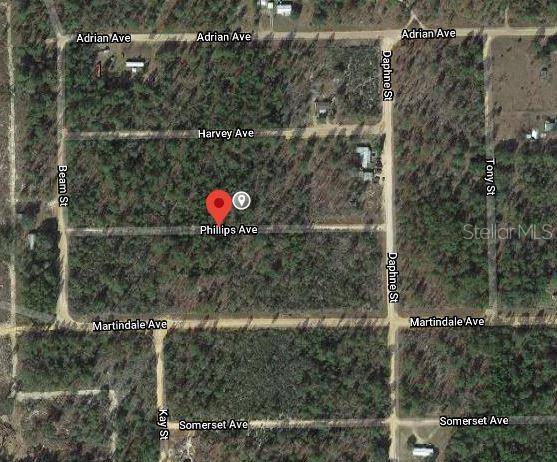 00 PHILLIPS AVE, Interlachen, FL 32148
