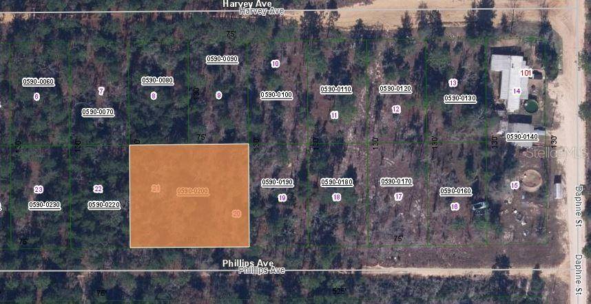 00 PHILLIPS AVE, Interlachen, FL 32148