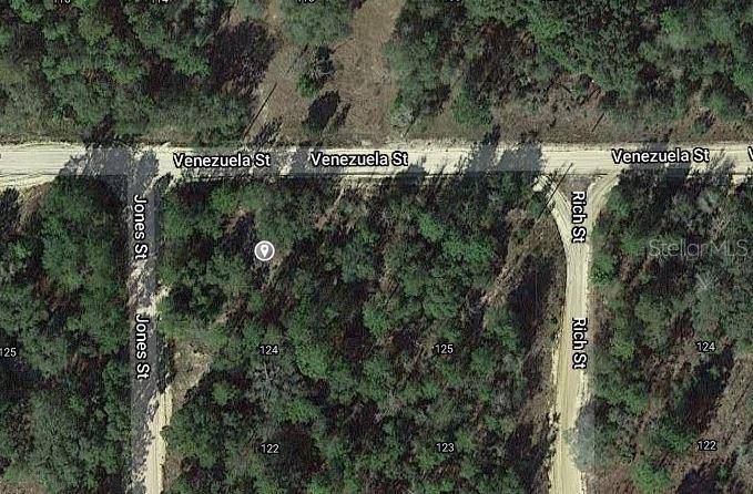 00 JONES ST, Interlachen, FL 32148