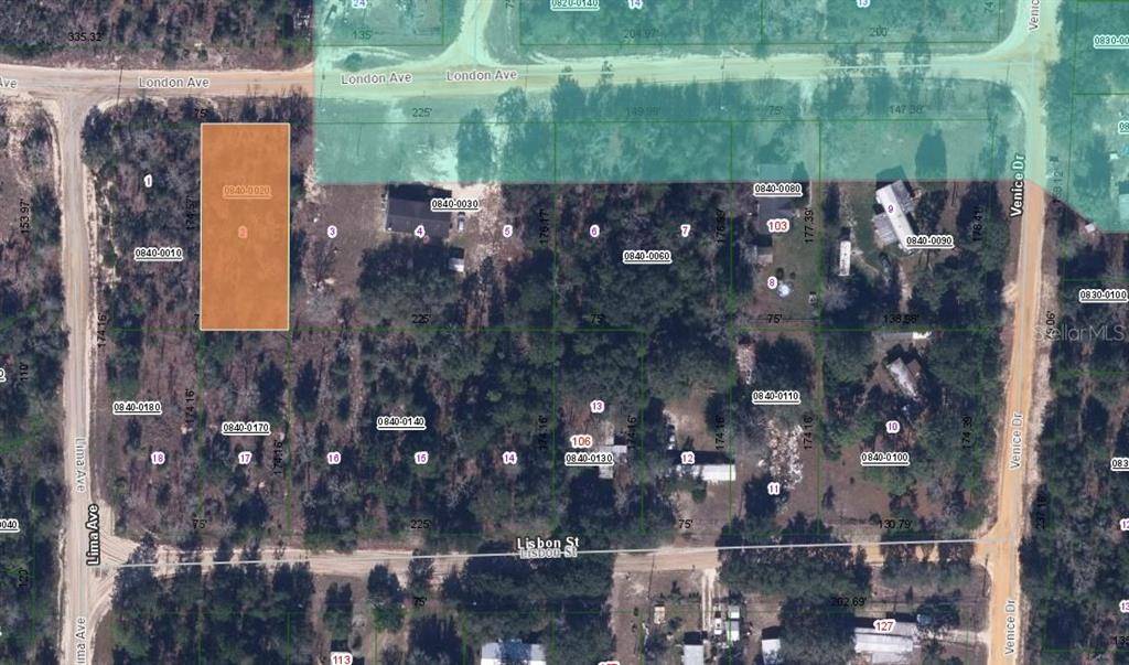 115 LONDON AVE, Interlachen, FL 32148